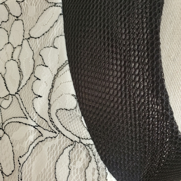 Belle Badgley Mischka Black & White Lace Mesh Dress - Picture 8 of 10